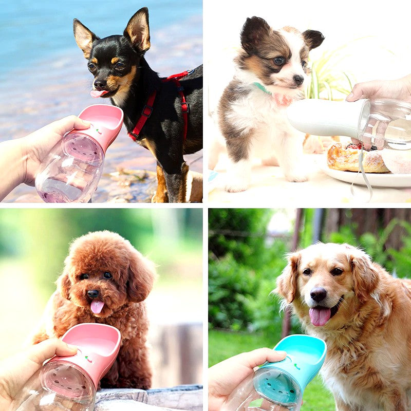 Adventure Buddy | Portable Dog Water Bottle with One-Handed Operation | Hydration Solution for Active Dogs 7