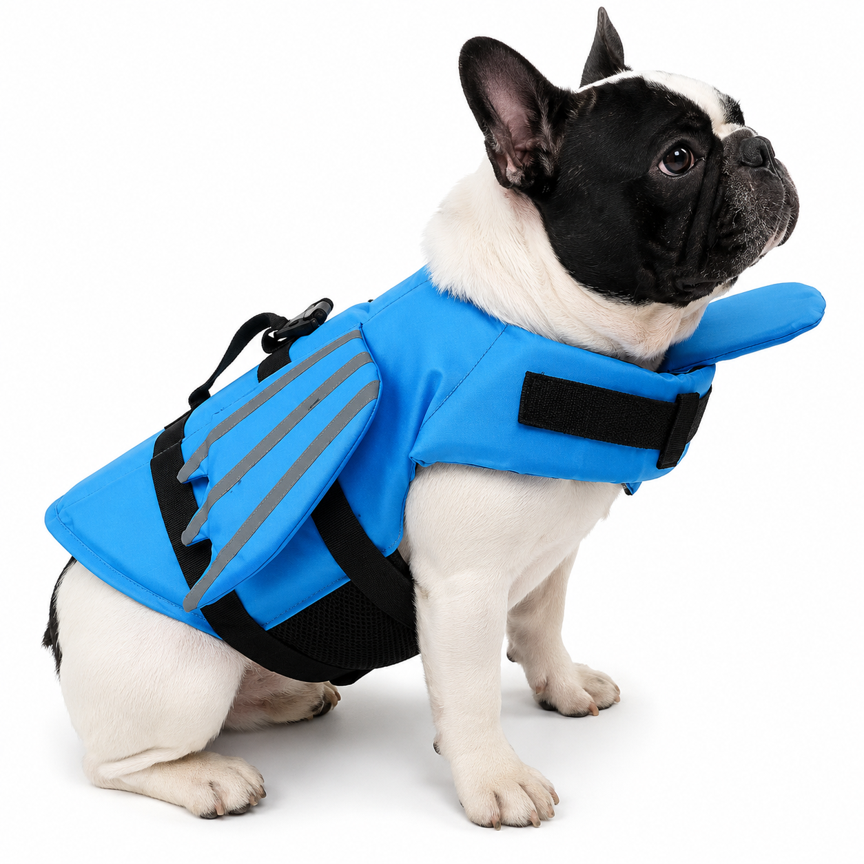 Dog Life Jacket with Reflective Strips, Adjustable