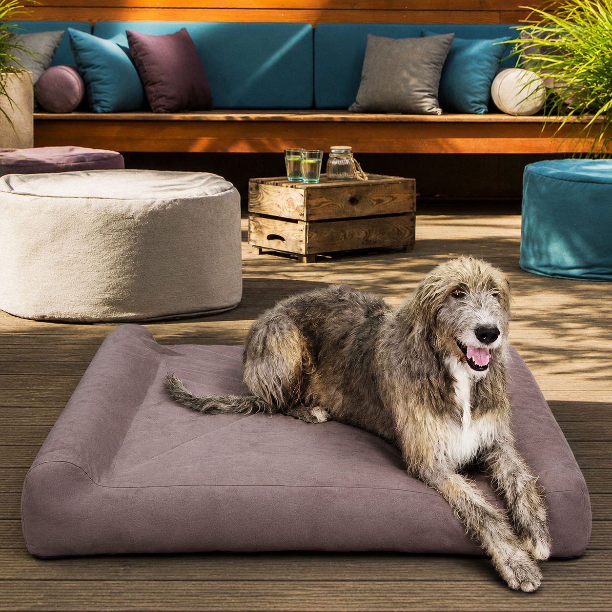 Orthopedic Dog Bed with Memory Foam, Large
