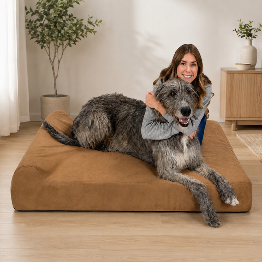 Orthopedic Dog Bed with Memory Foam, Large