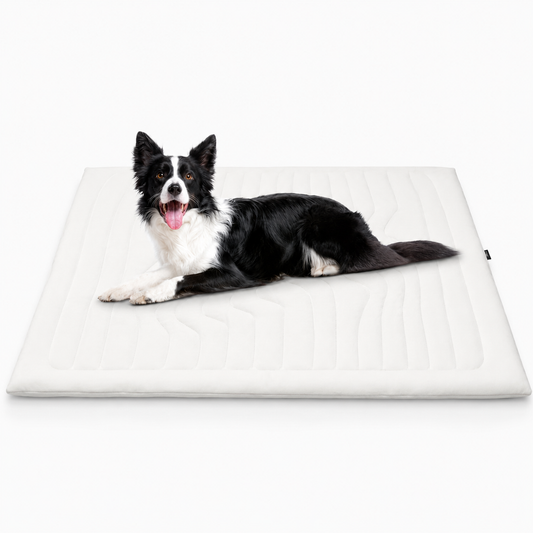 Dog Cooling Mat, Arc-Chill Technology