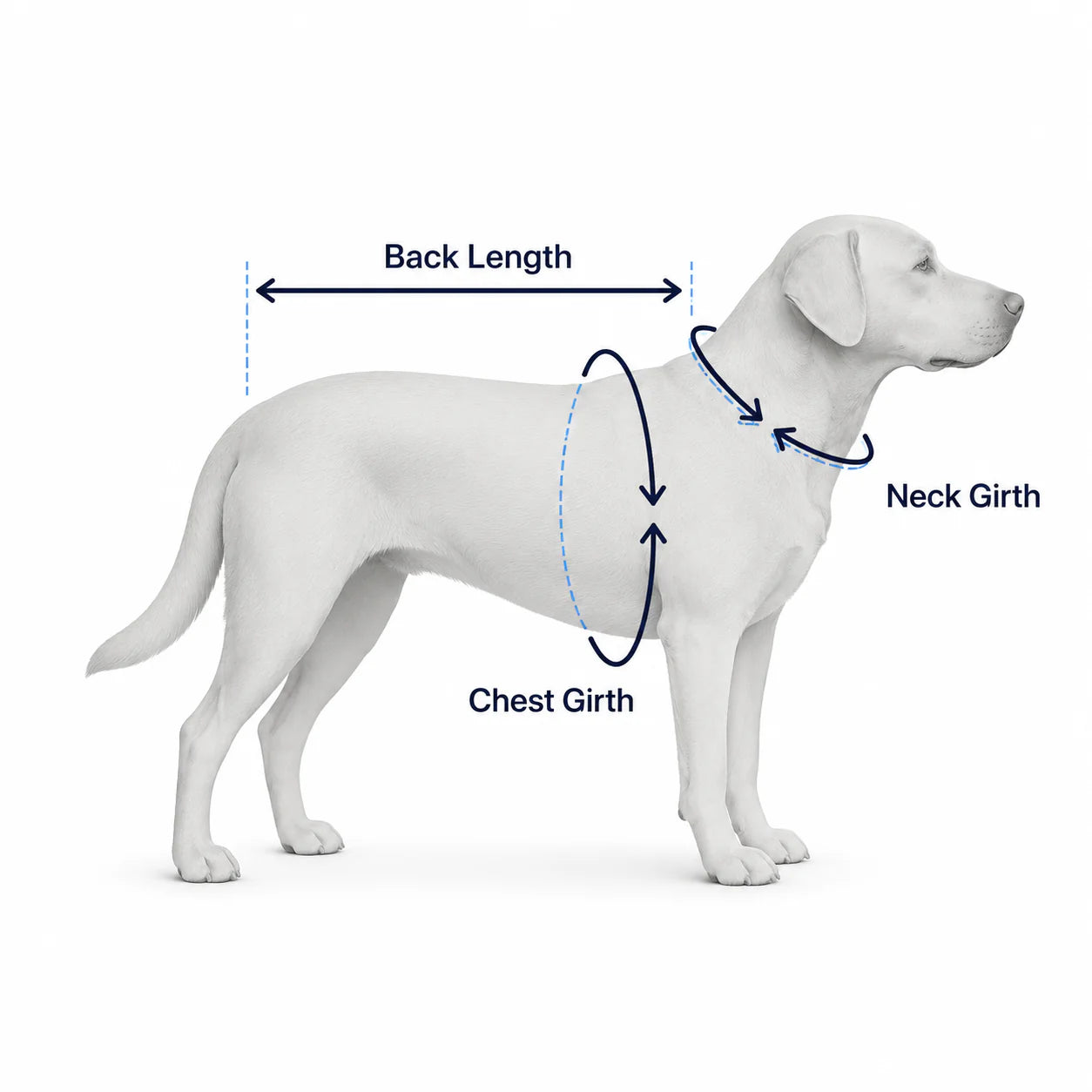 Dog Cooling Vest, Evaporative Mesh Fabric