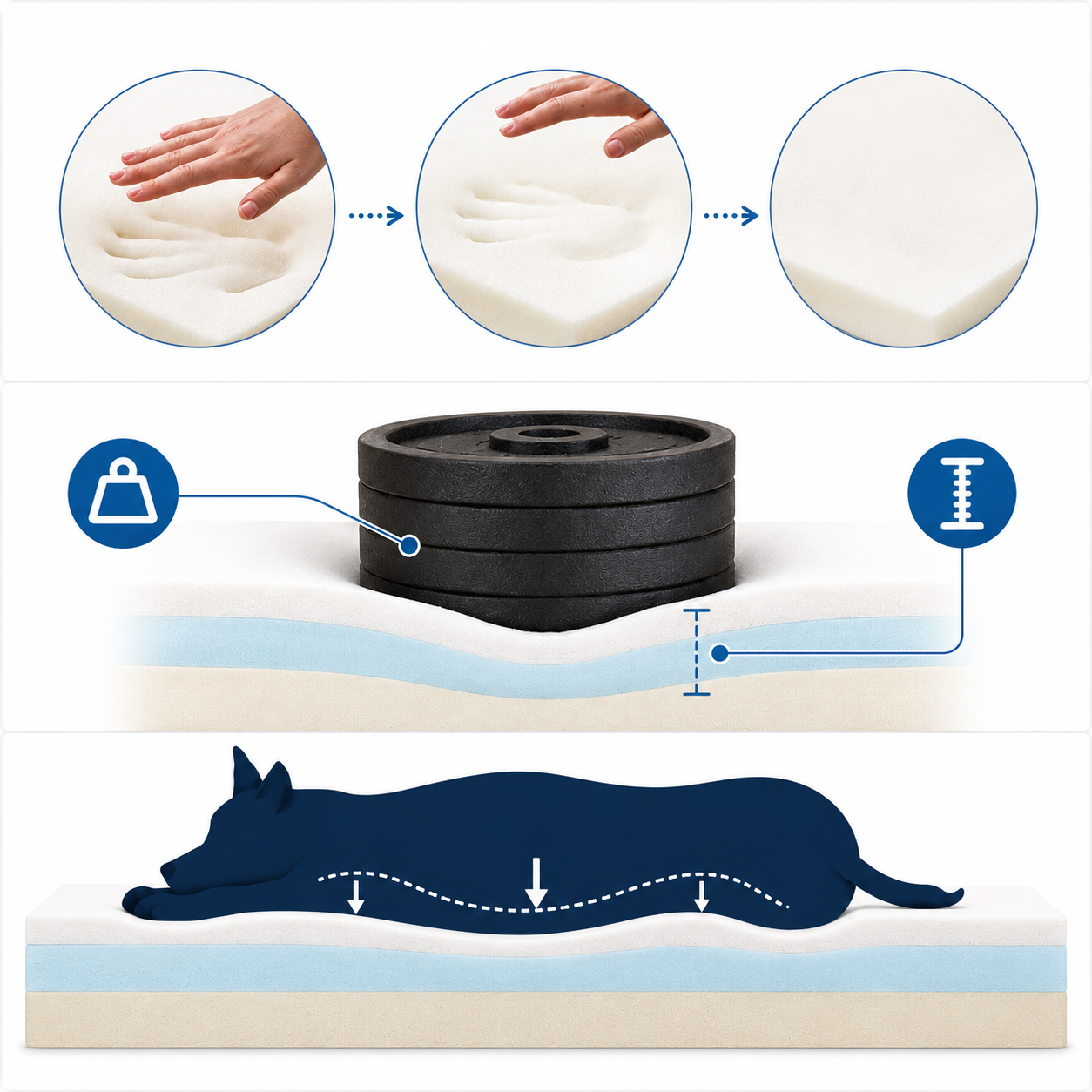 Orthopedic Dog Bed with Memory Foam, Large